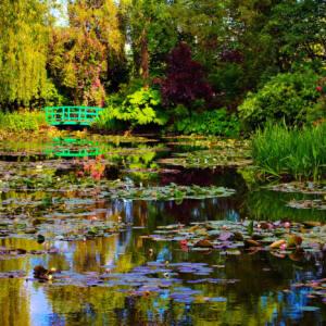 Monet giverny - Private Guided Tour